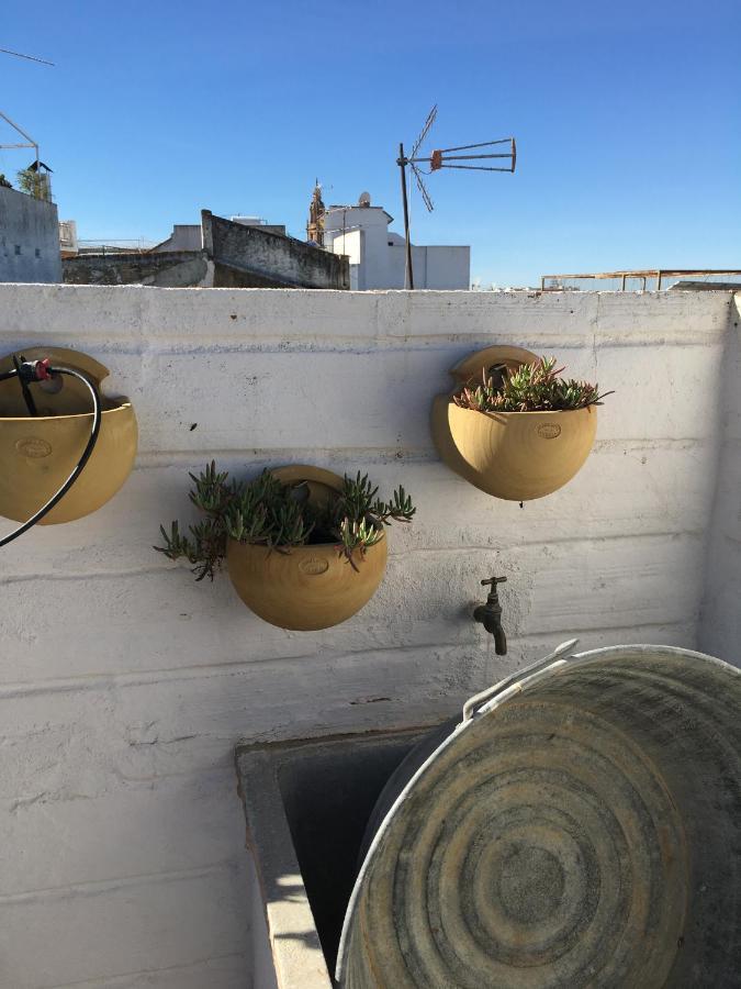 הוילה Casa Leon Blanco Carmona Reformada Centrica Con Chimenea Y Terraza Con Vistas מראה חיצוני תמונה